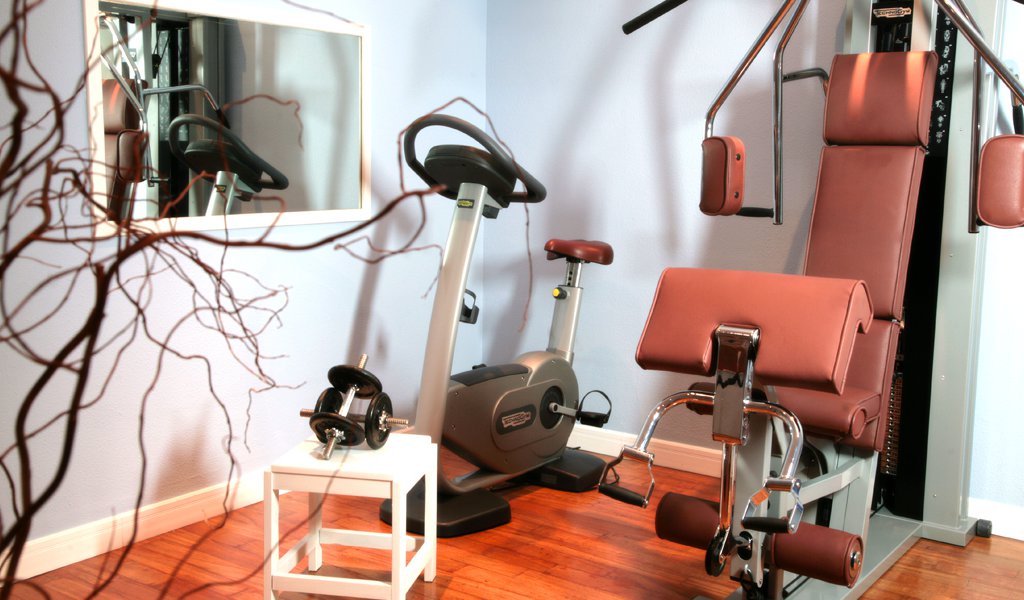 villagarden_facilities_palestra